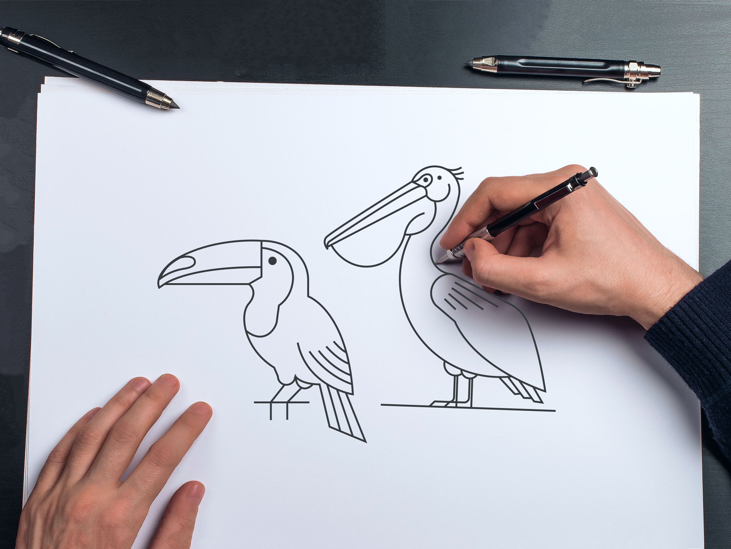 Feathered Friends in Simple Shapes illustration