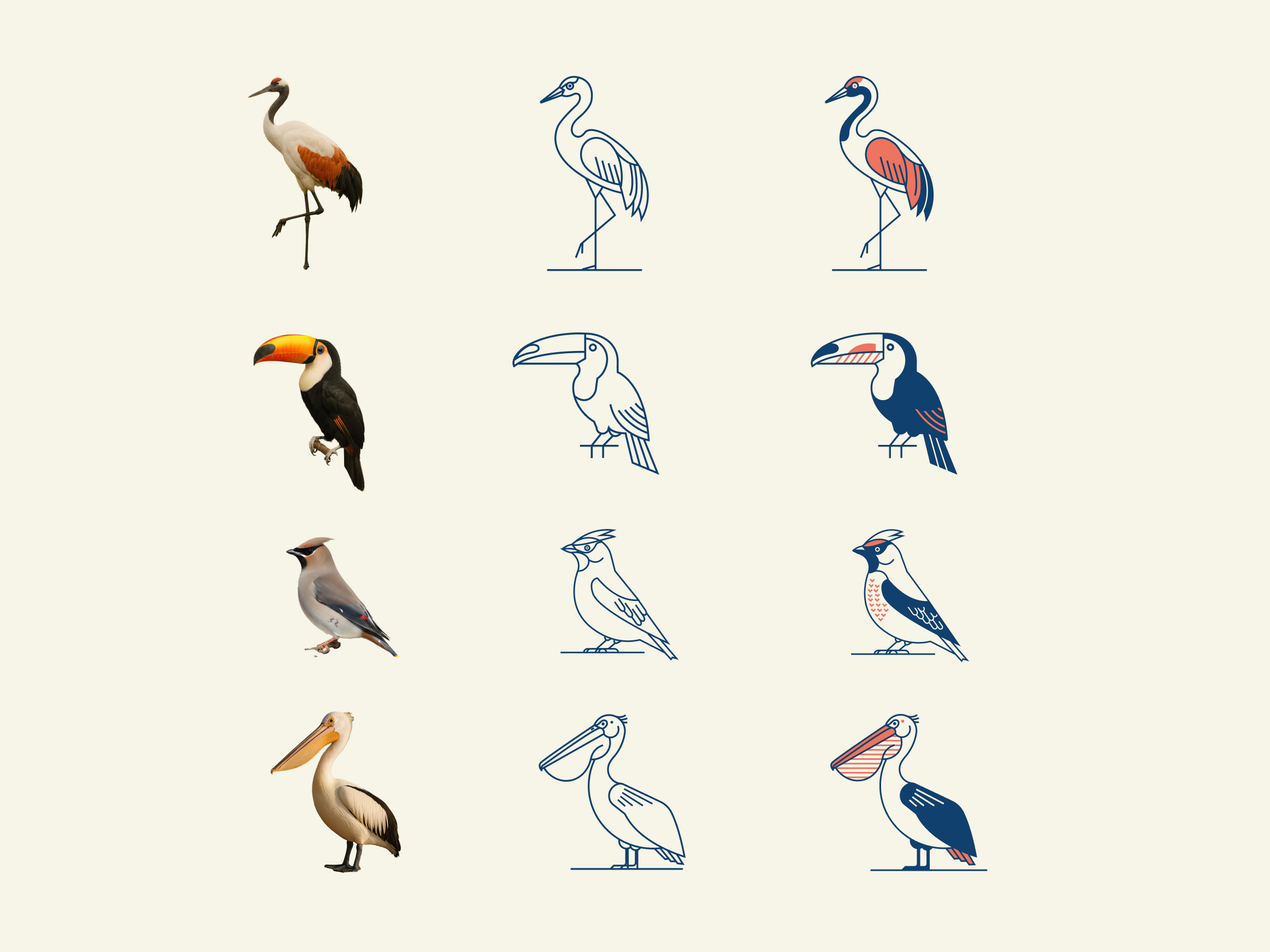 Minimal Bird Illustration Series geometry icon illustration minimal