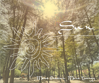 sun forest graphic design sun forest