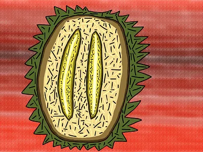 durian clipstudiopaint csp digitalart digitalillustration durian foodart fruit illustration stillife