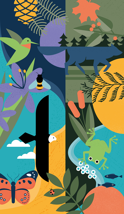Biodiversity Days - UBC Botanical Garden biodiversity botanical branding design illustration nature vector