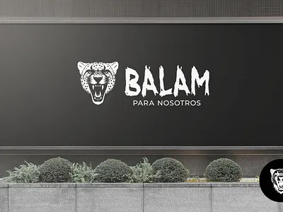 Logo Design branding graphicdesign logo logos