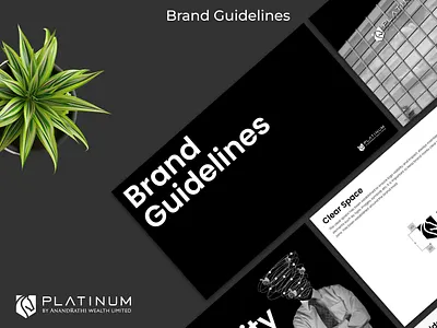 Platinum - Brand Guidelines brand design brand guidelines brand identity brand visual branding creative graphic design minimal unique
