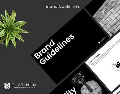 Platinum - Brand Guidelines brand design brand guidelines brand identity brand visual branding creative graphic design minimal unique