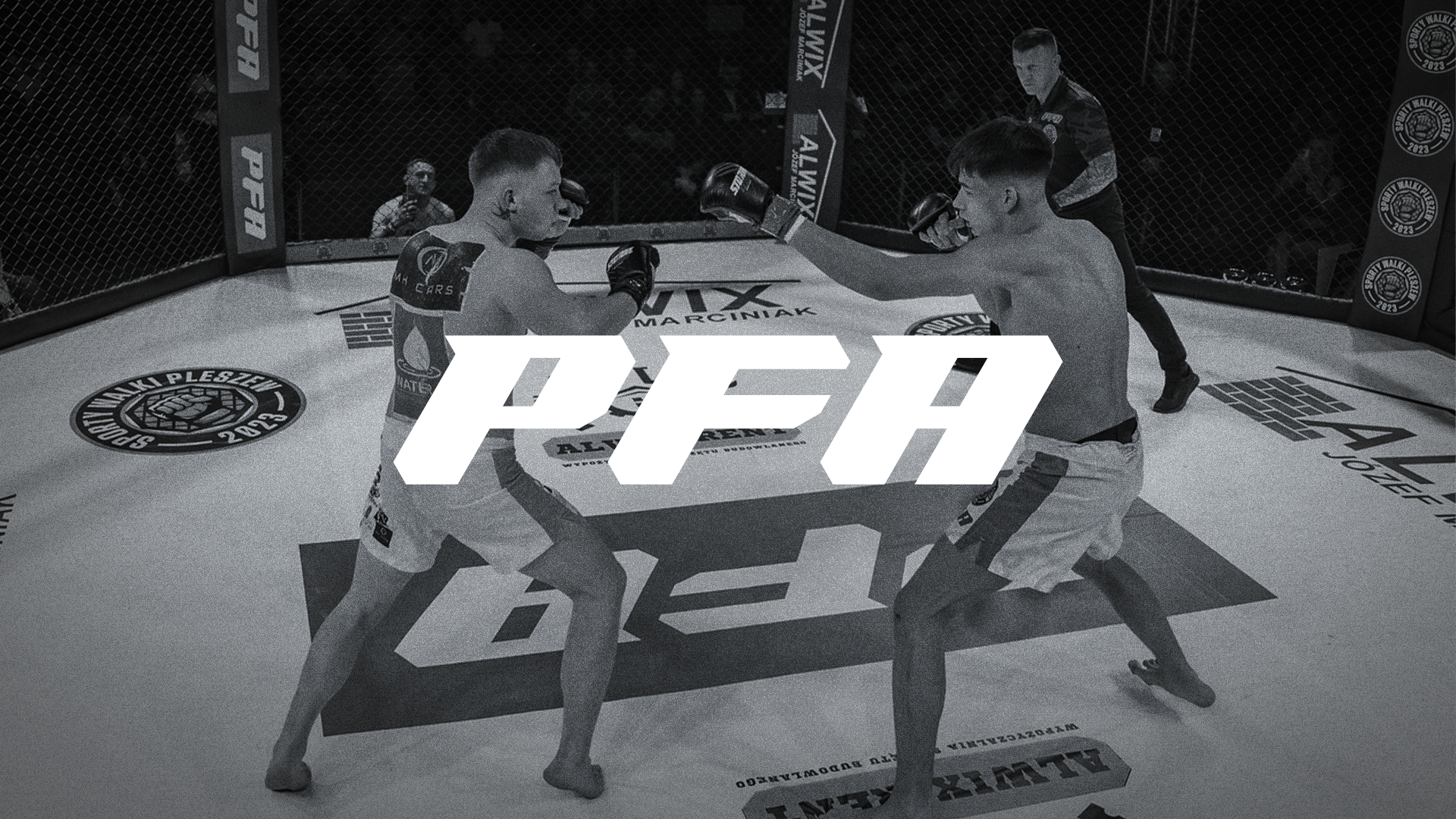 PFA - Pleszew Fight Arena branding graphic design logo logotype mixed martial arts pfa sport visual brand visual identity
