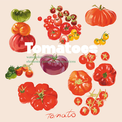 Watercolor series Tomatoes branding harvest illustration menu patterns postcards red vegetable garden watercolor