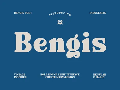 Bengis Font 70s bold branding classic display editorial font fonts headline lettering packaging poster retro rounded serif slab typeface typefoundry typography vintage