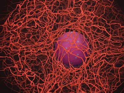 Сytoskeleton Microtubules adobe illustrator illustration microbiology noai science scientific illustration vector