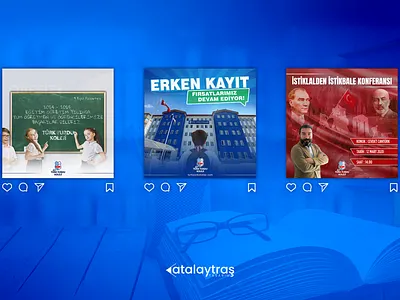 Social Media Design branding design graphic design