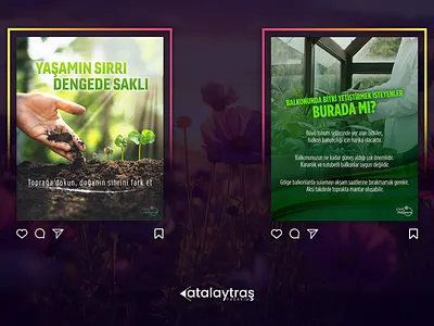 Social Media Design branding design graphic design