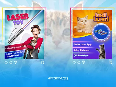 Social Media Design branding design graphic design