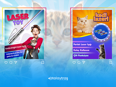 Social Media Design branding design graphic design
