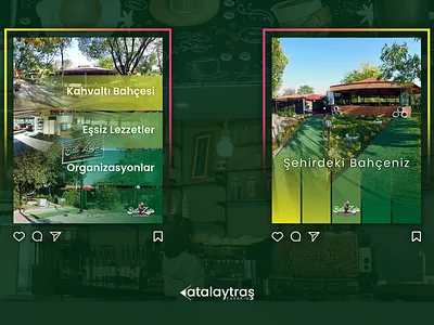 Social Media Design branding design graphic design