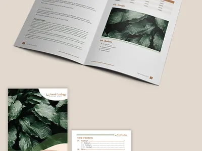 MS Word template/document design editable microsoft word template word document