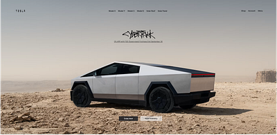 Tesla Website