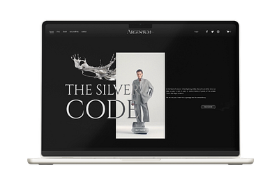 Argentum Web Shop ui ux web