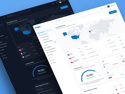 iVigee Dashboard concept