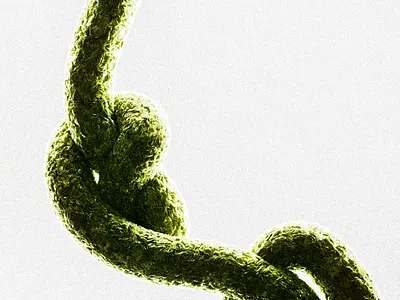 Anatomy of a Flower .002 3d 3d artist 3d designer c4d cgi cinema 4d design octane render