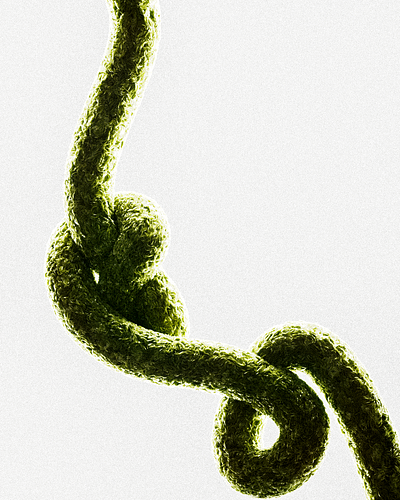 Anatomy of a Flower .002 3d 3d artist 3d designer c4d cgi cinema 4d design octane render