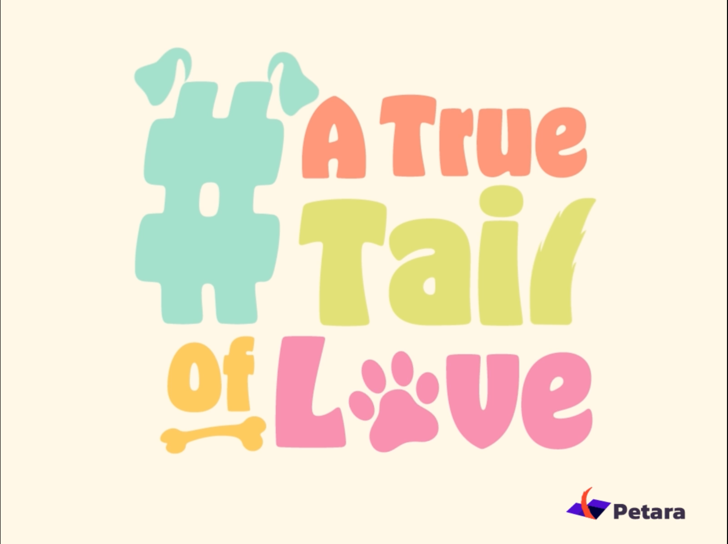 Animation for Petara 2d animation branding design graphic design illustration logo motion graphics vector