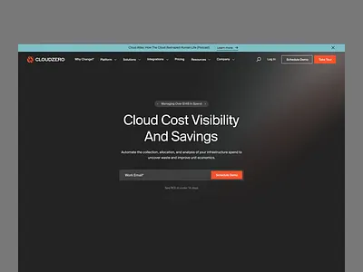 CloudZero - New Homepage animation b2b branding cloud dashboard design development hero landing page logo logotype motion product ui ux web web design website wordpress