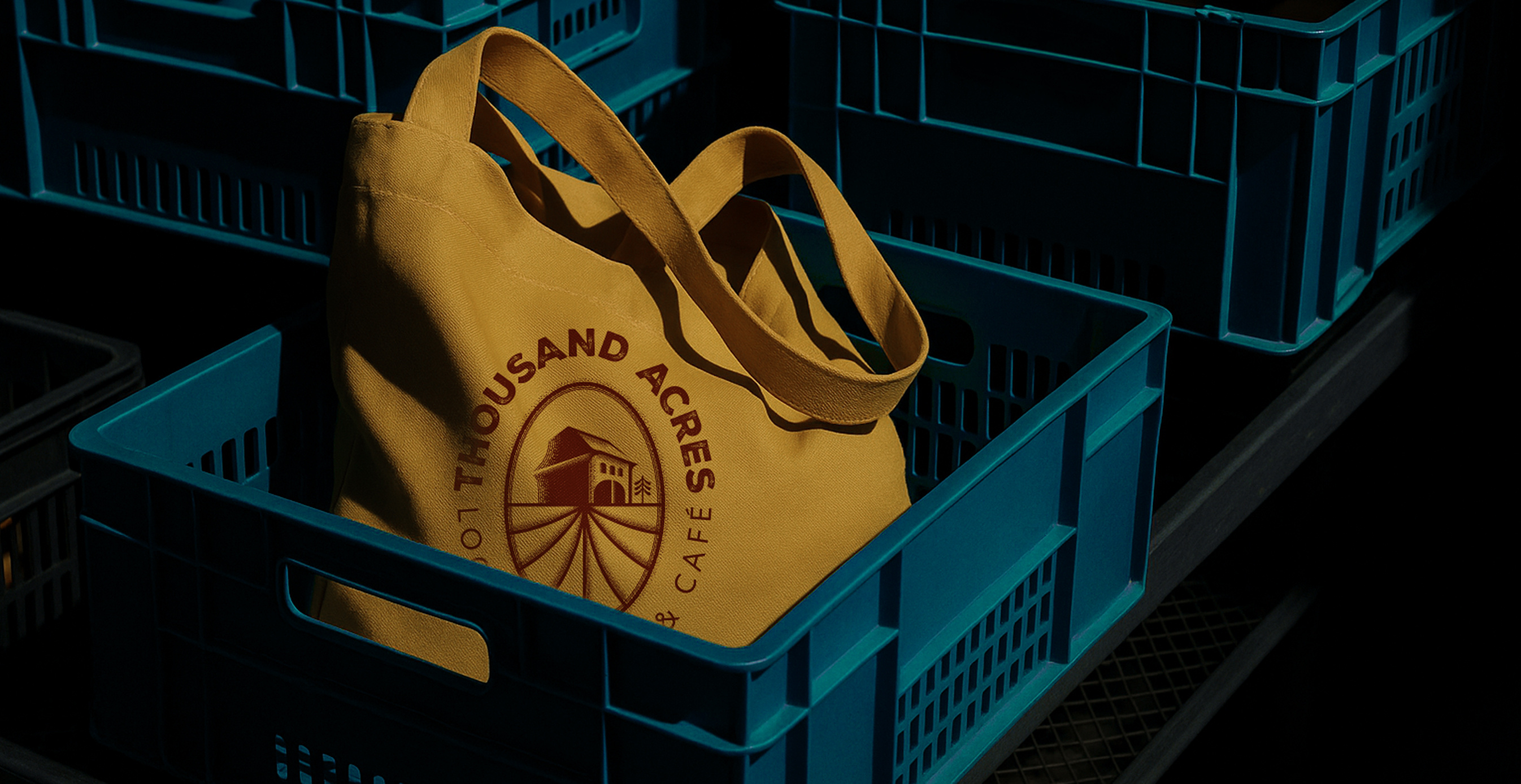 Example of Graphic Design Creative Services