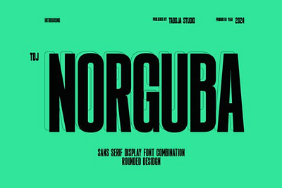 Norguba Display-Type Font apparel fonts beauty fonts birthday cards fonts bold bold charm branding branding fonts design illustration magazine modern norguba display type font sans serif font typography vintage