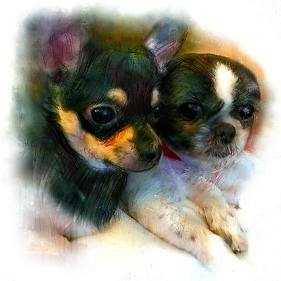 Boris et Zoé