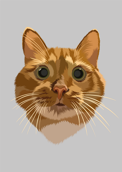 Pasha adorable animal portrait big eyes cat cat face cute cat digitalart domestic cat furry ginger cat illustration kitty minimalist art orange cat pet pet illustration vector art whiskers