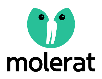 מיתוג חברת הייטק אמריקאית