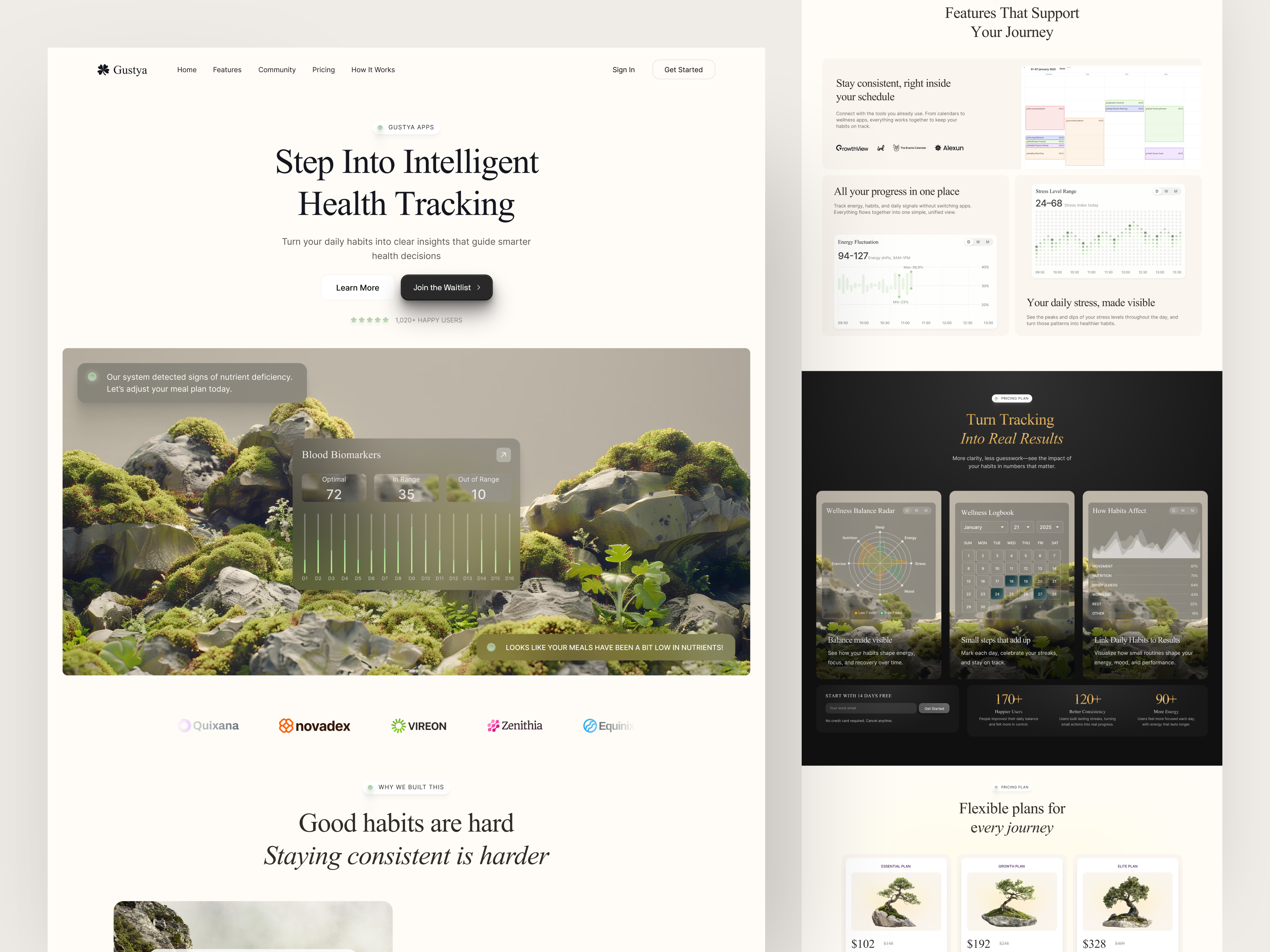 Example of Landing Page Design