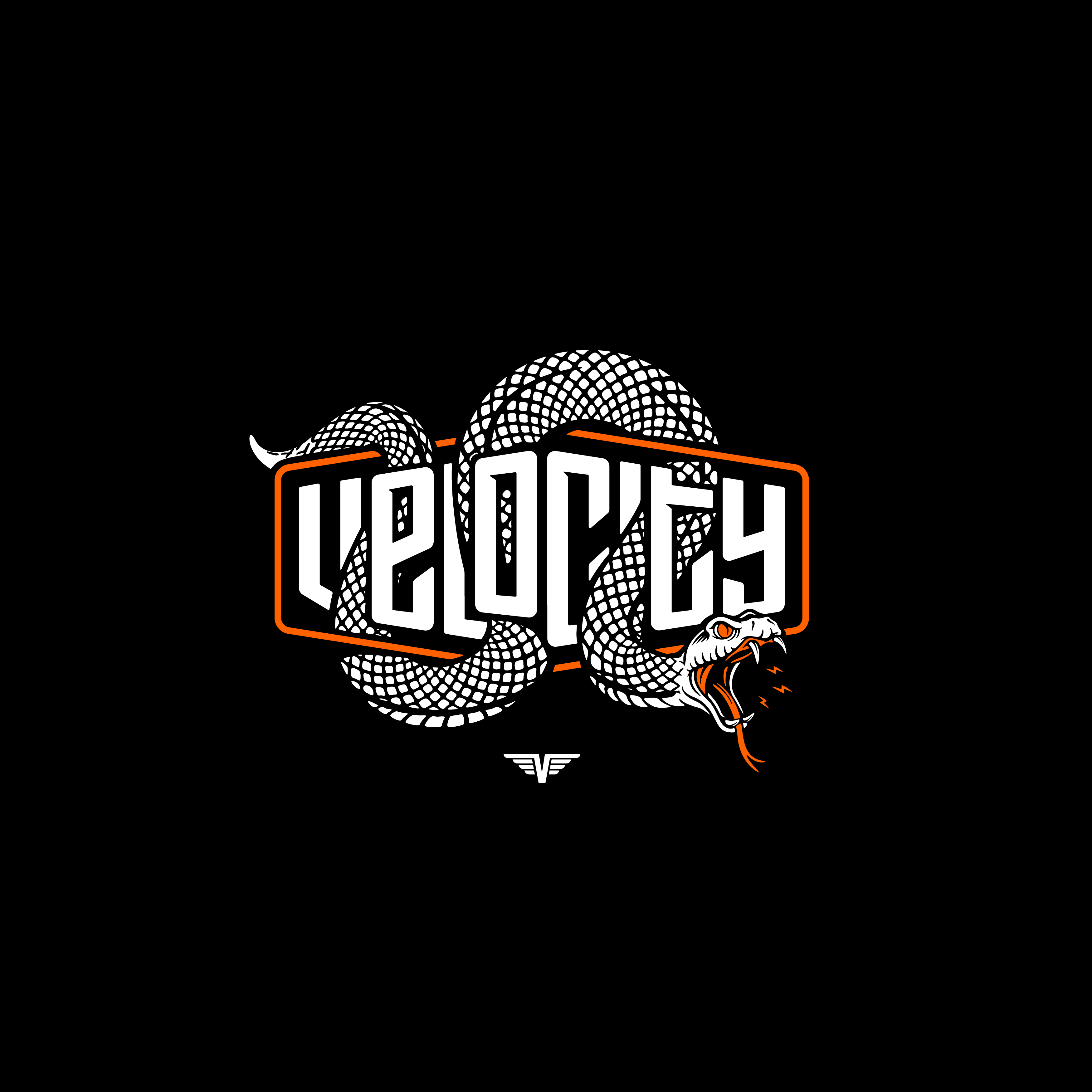 Velocity Fitness & Health 03