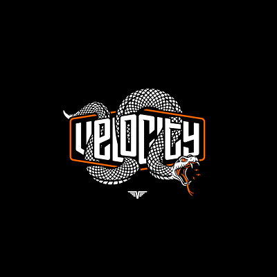 Velocity Fitness & Health 03