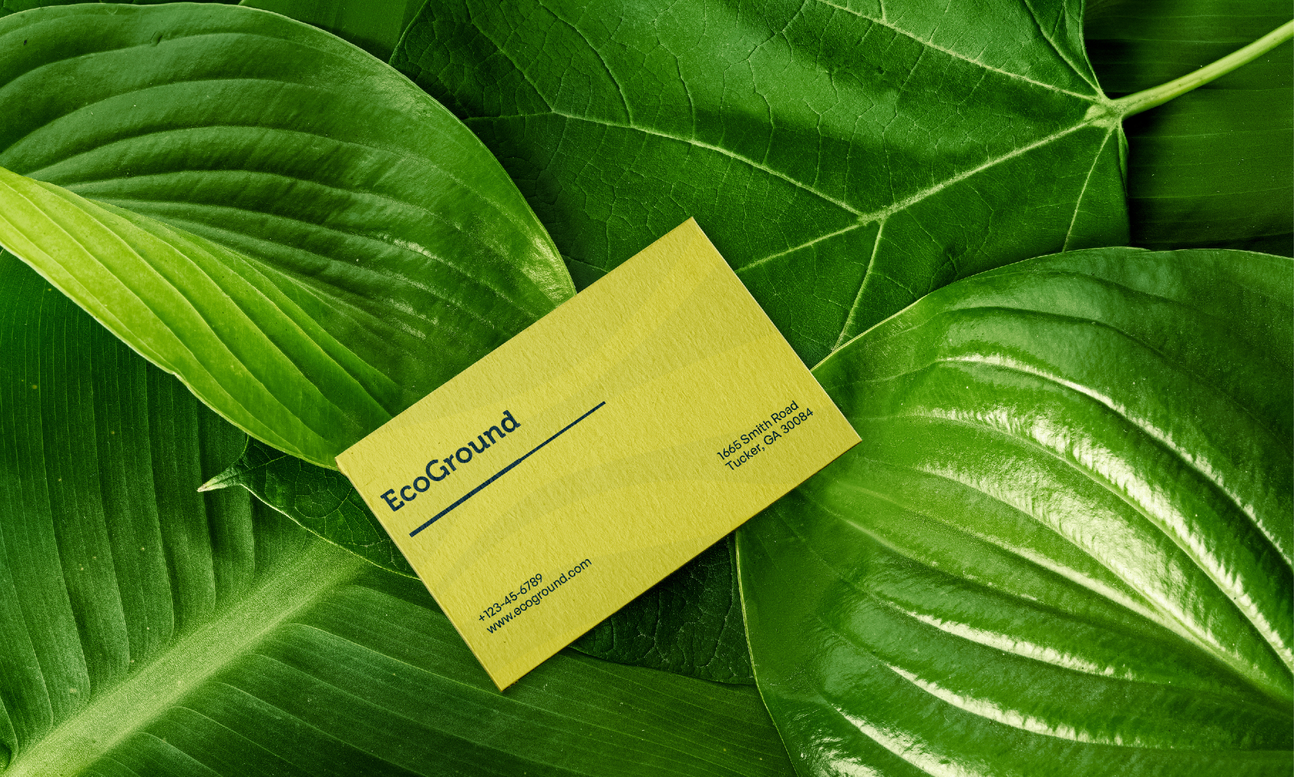 Ecoground: A Brand Identity for Sustainable Living advertising beverage packaging brand design brand identity branding design graphic design illustration logo