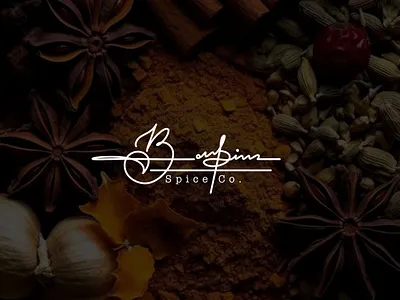 Spice logo | Digital signature | typography graphic design