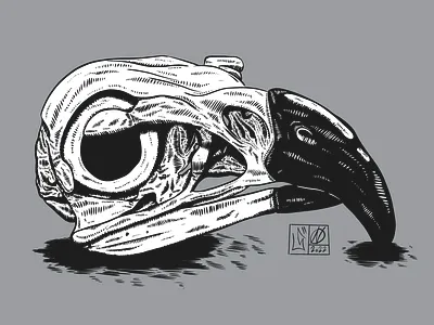 Beautiful Bird | Comics Illustration art artwork comics design illustration minimal