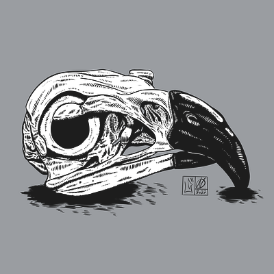 Beautiful Bird | Comics Illustration art artwork comics design illustration minimal