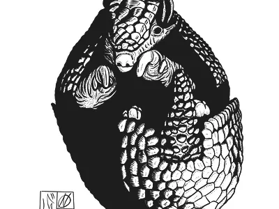 Armadillo | Comics Illustration art artwork comics design illustration minimal