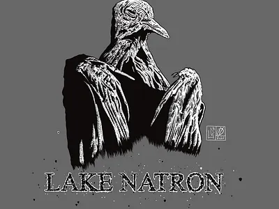 Lake Natron | T-shirt design Illustration art artwork comics design graphic design illustration minimal print tshirt