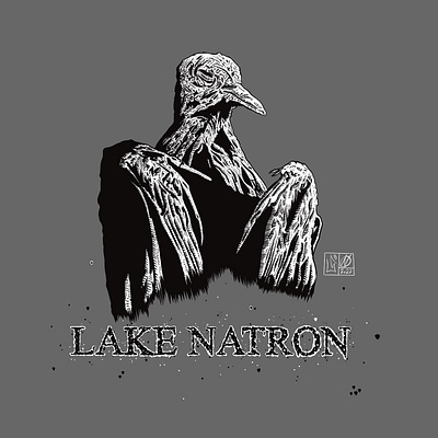 Lake Natron | T-shirt design Illustration art artwork comics design graphic design illustration minimal print tshirt