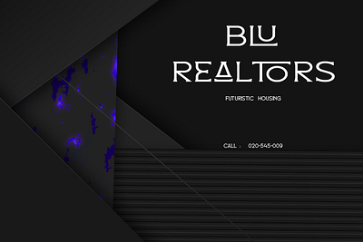 REAL BLU branding business cards design graphic design illustration logo real estate typography vector