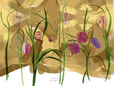 Fritillaria on gold botanikal branding digital atr floral flowers fritillaria gold illustration watercolor