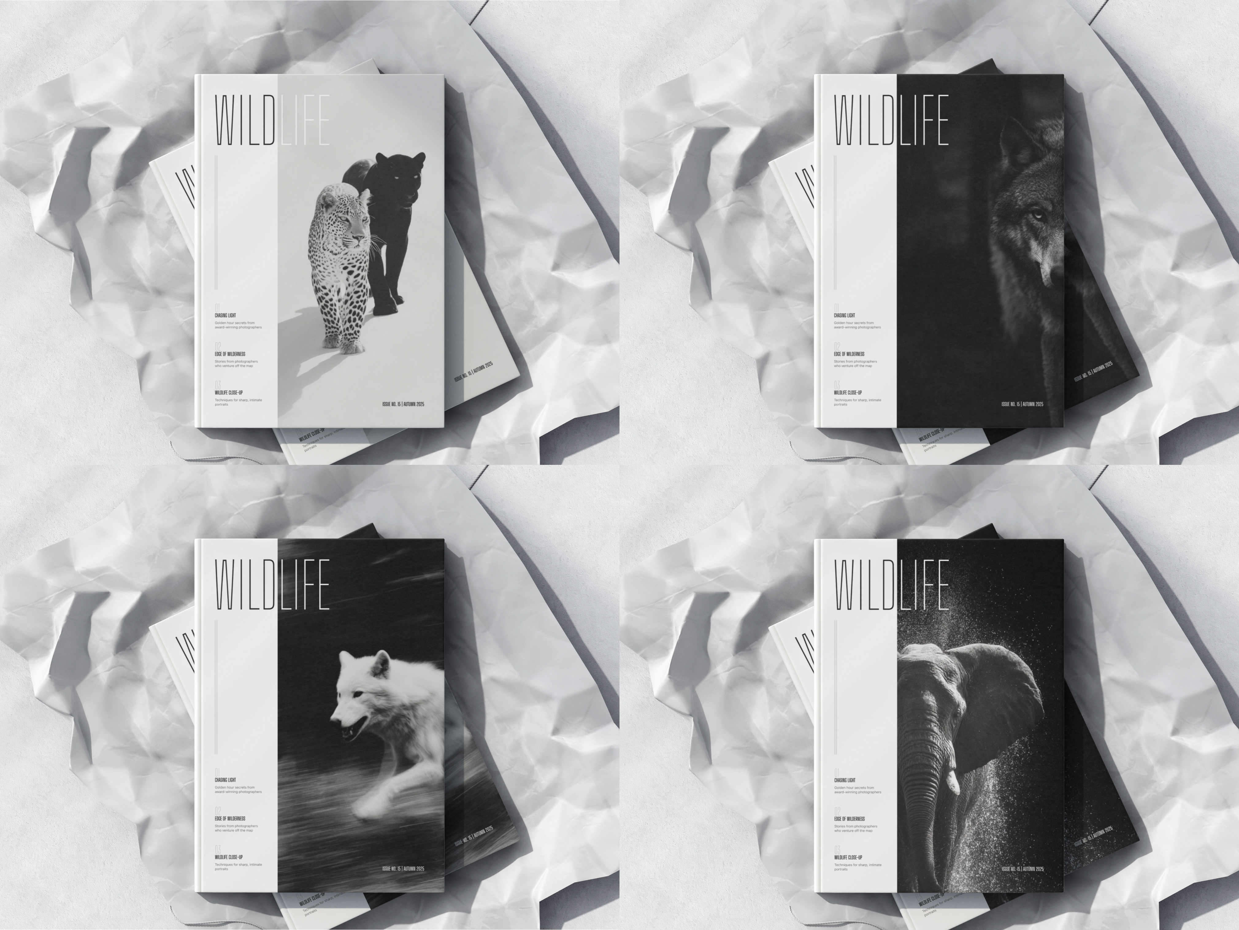 Example of Professional Magazine Design