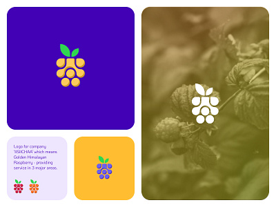 IISIICHAA Logo Design berries logo fruits logo logo logo design minimal logo raspberry