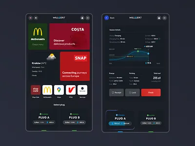 EV charger - UI car charge charging chart ev level ordering parameters retail stats