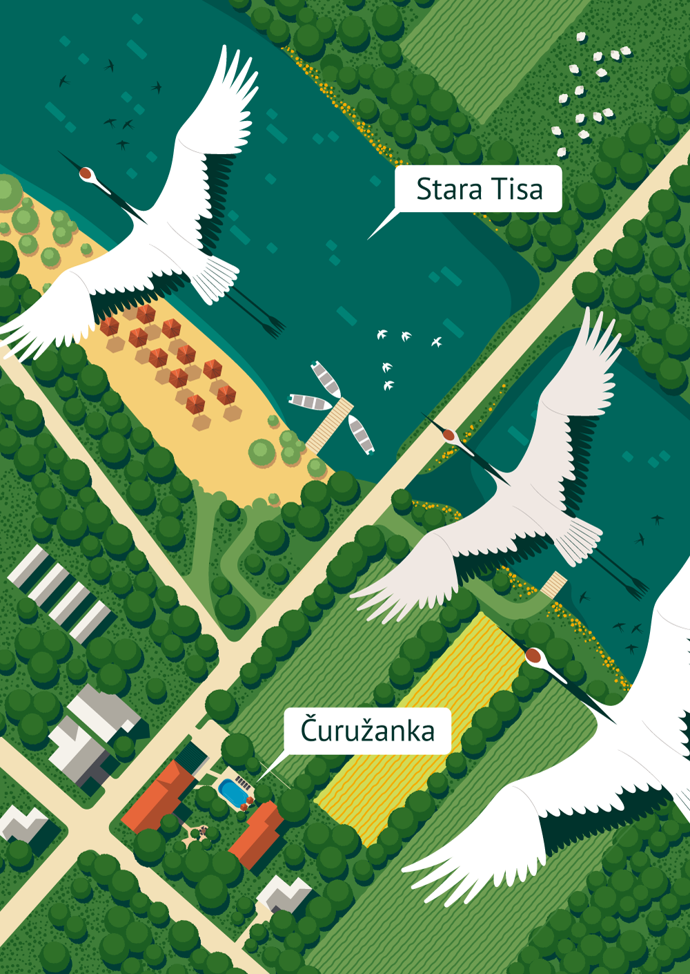 Postcard from Churug, Serbia. 2d illustration illustrator