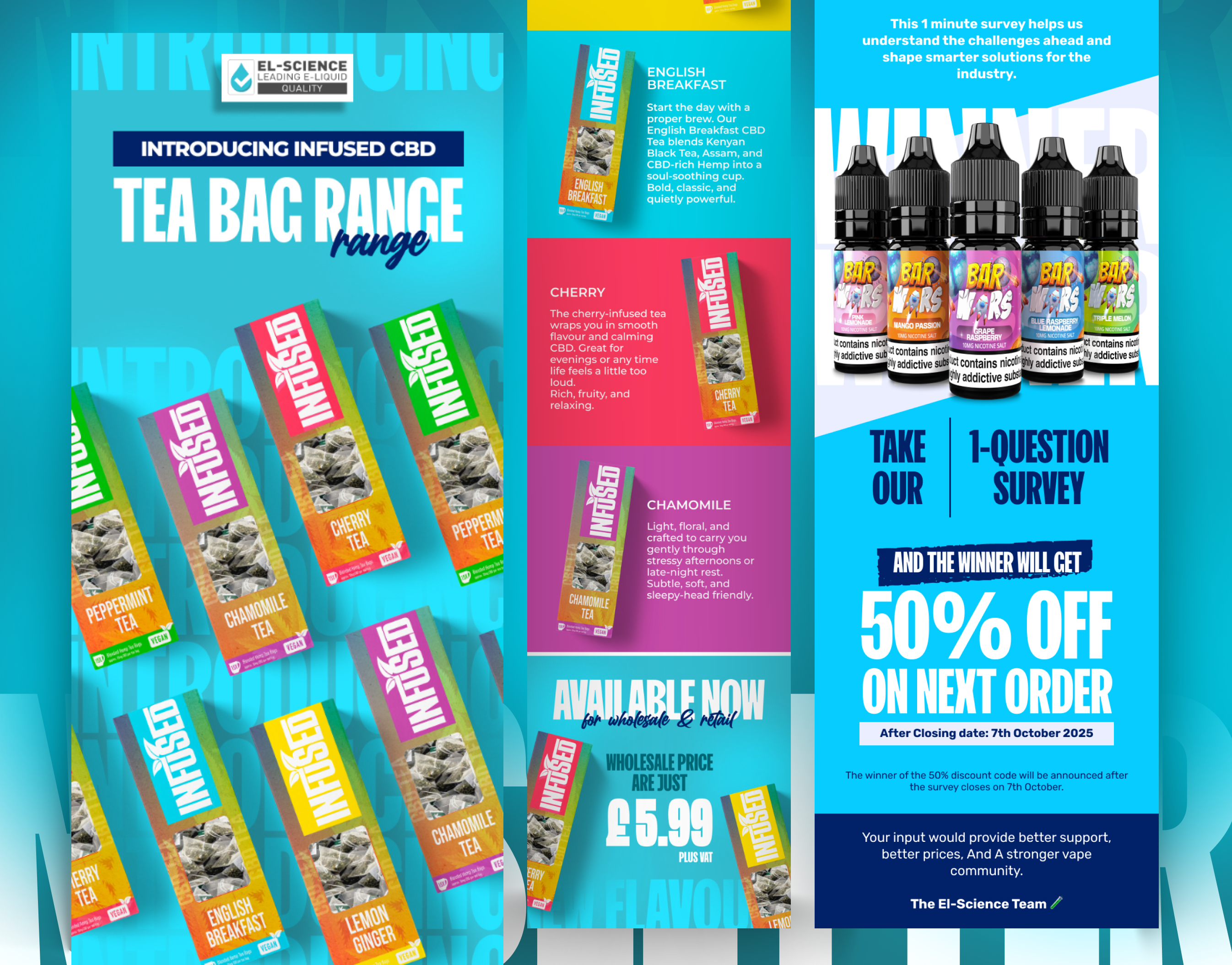 Example of Custom Email & Newsletter Design