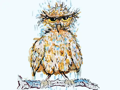 Grumpy Wet Owl amusing