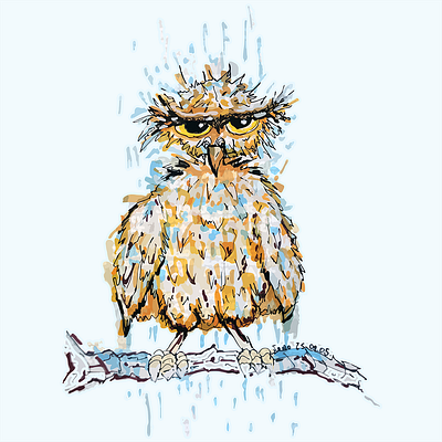 Grumpy Wet Owl amusing