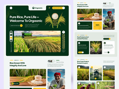 Rice Crops Website Design agriculture branding crops design farm farming fresh food homepage illustration landing landing page nature organic organic farm rice rice crops ui uiux web design website